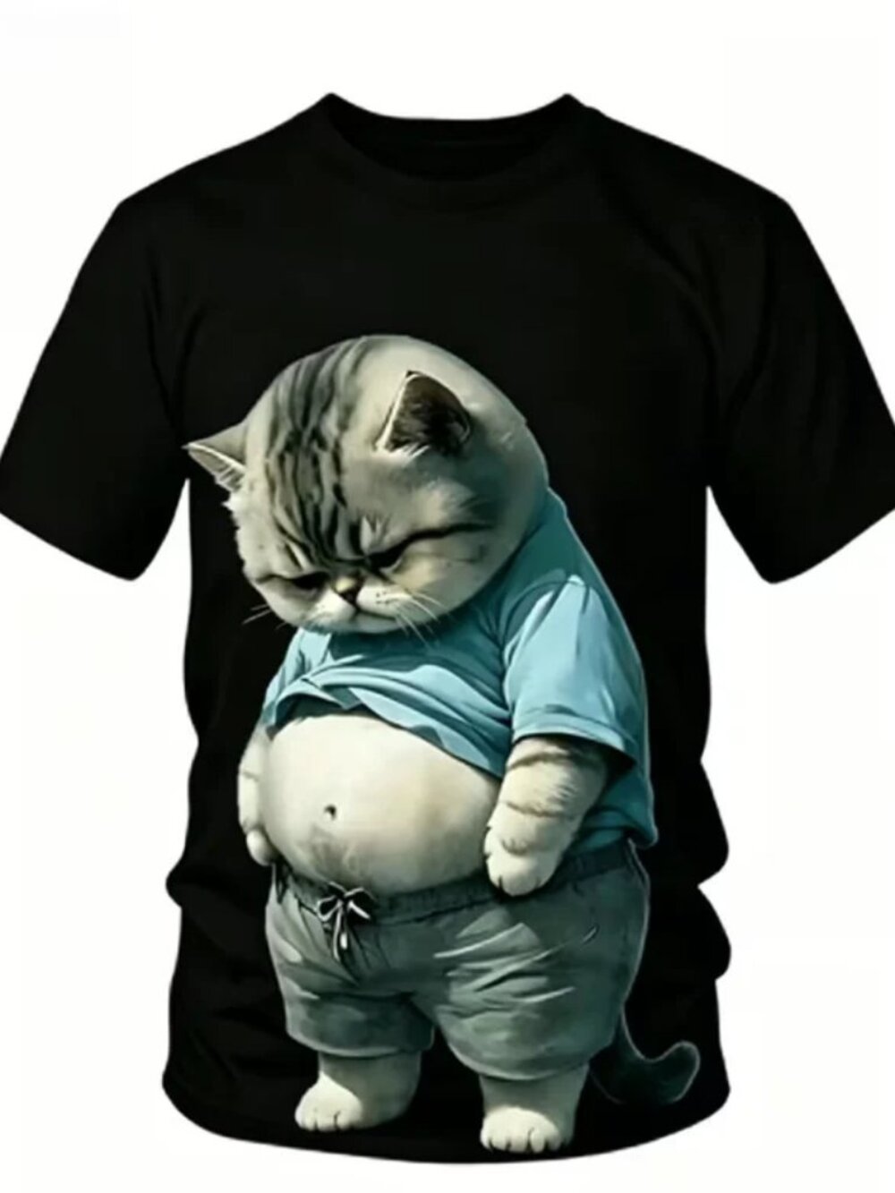 Chubby Cat Lover Funny T-Shirt
